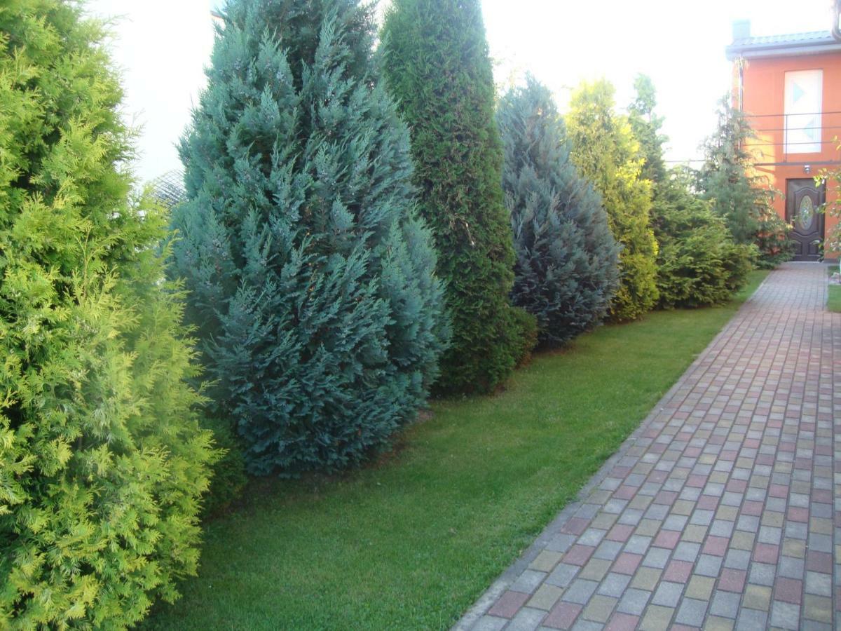 Zelta Pirts Guest House Ventspils Eksteriør billede